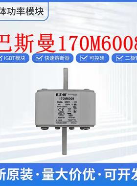 原装 170M6012 170M6013 170M6014 170M6015巴斯曼 熔断器 保险丝