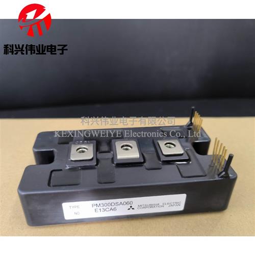 全新原装PM300DSA060 PM200DSA060 PM400DSA060 PM600DSA060 现货