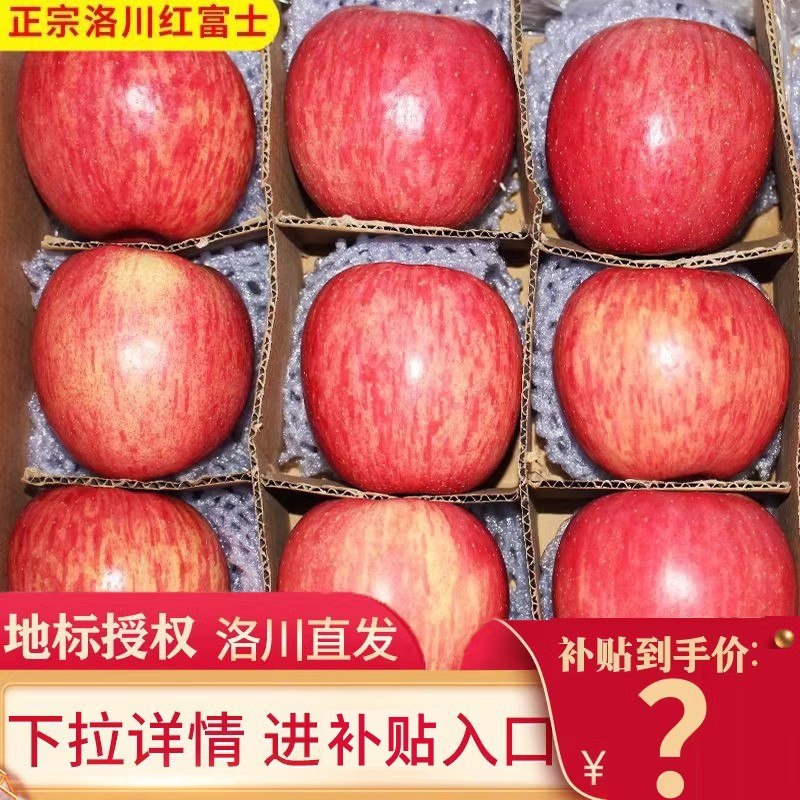 【5A品质】正宗洛川红富士苹果
