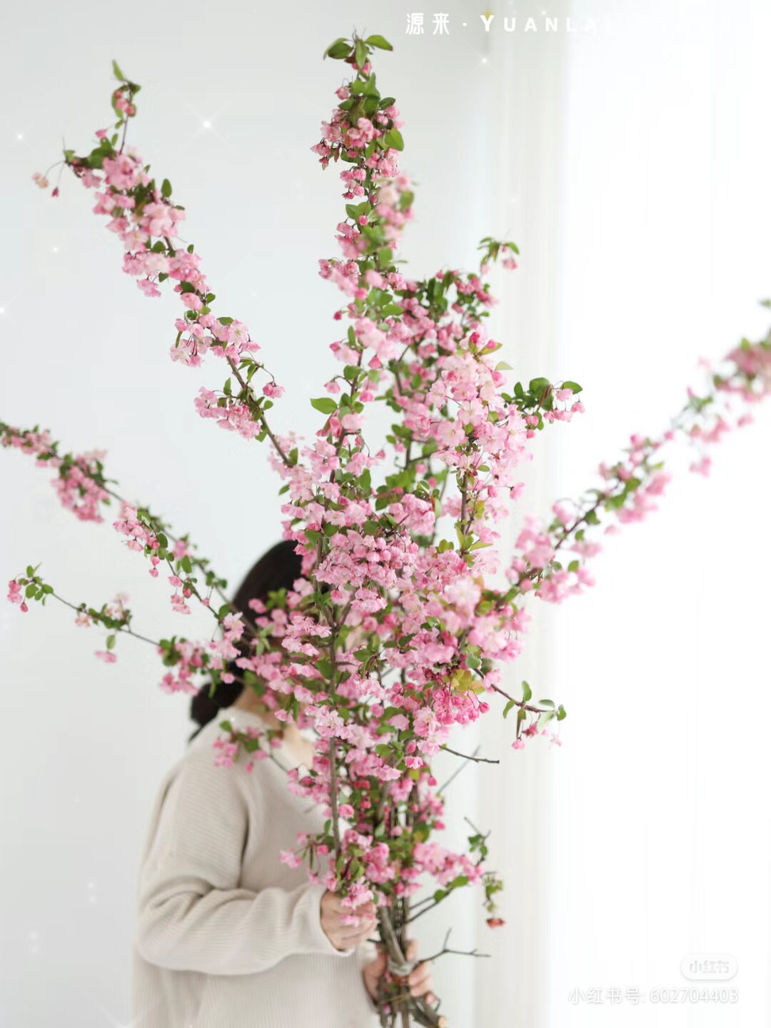 海棠垂丝贴梗西府鲜切花枝条木本水培插花室内梨花玉兰腊梅白粉色