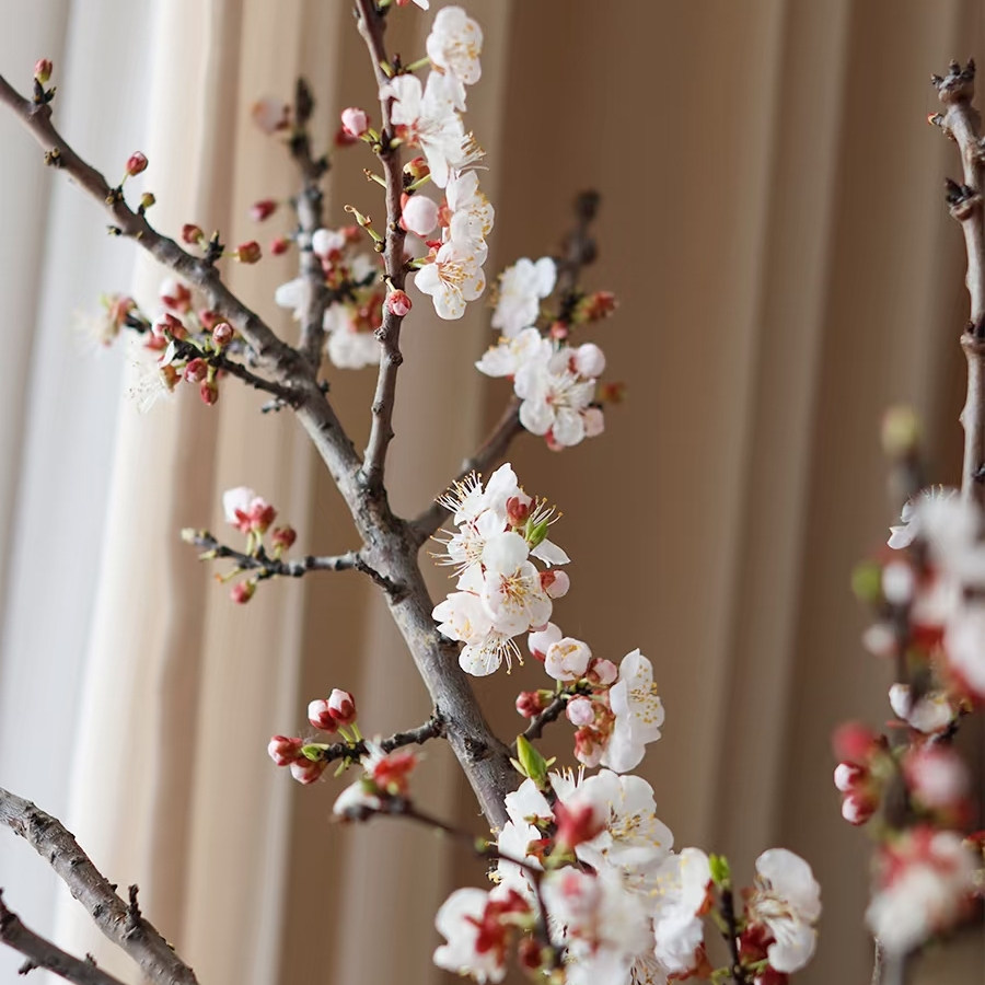 杏花梨花海棠垂丝贴梗切花枝条木本水培插花室内梨花玉兰腊梅粉色