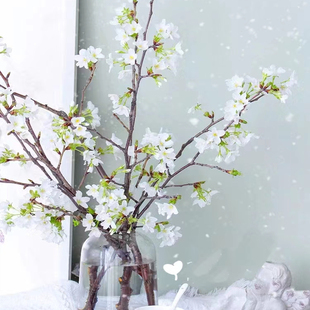 白樱花粉鲜切花枝干水培好养室内插花卉泡香梅花腊梅玉兰海棠牡丹