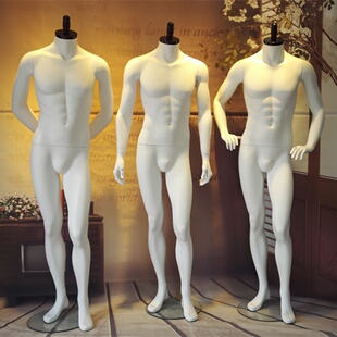 男士木盖服装道具 葫芦头平头肌肉西装橱窗展示服装高品质男模