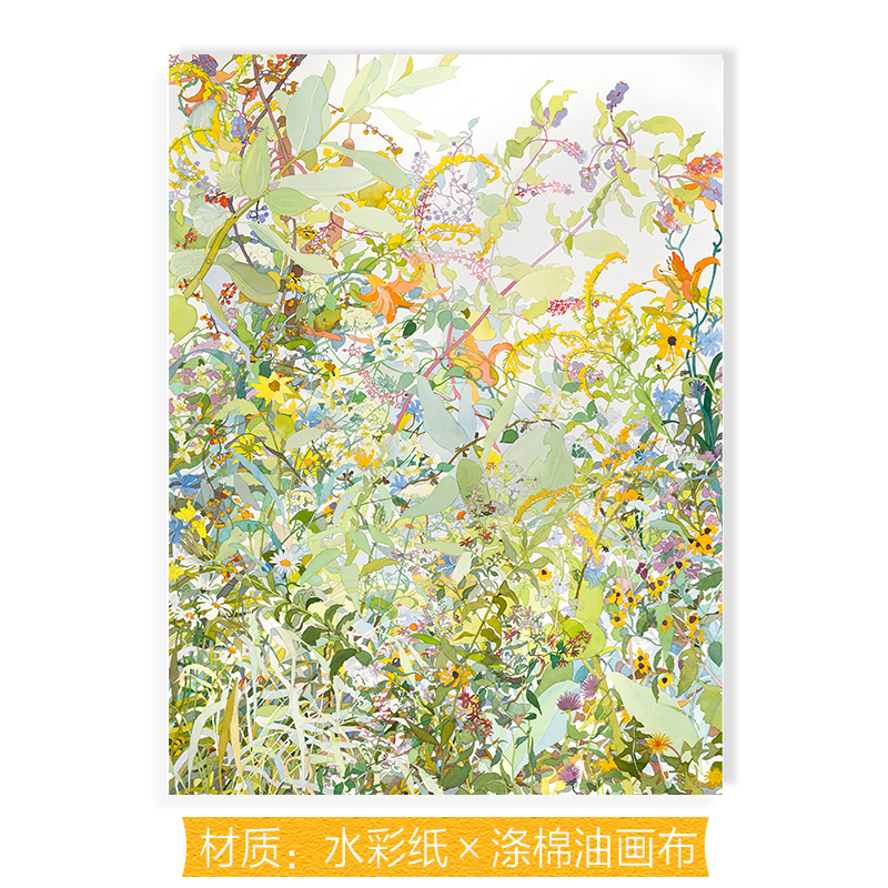 【捡漏合集】Joan Becker水彩画家复刻艺术版画花鸟植物装饰画芯图片