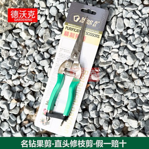 名钻稀果剪修枝剪园艺蘑菇剪刀