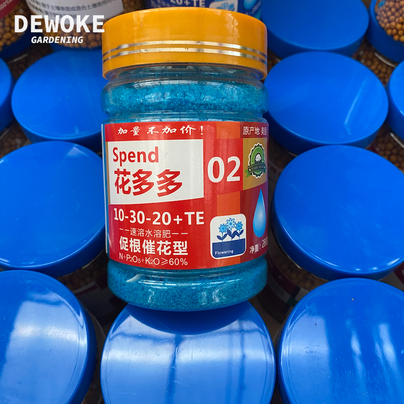 花多多2号进口花多多性价比高
