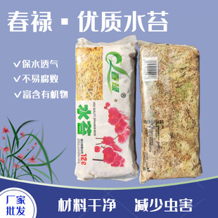 智利毛毛虫水苔蝴蝶兰专用土换盆优质干水苔营养土乌龟冬眠苔藓