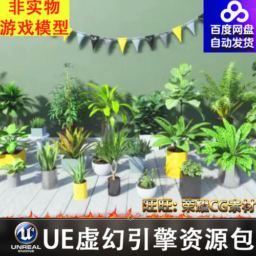 UE5写实盆栽植物绿植芦荟仙人掌植被花草Tropical House Plants