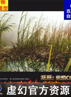 UE5.4植被植物芦苇灌木草丛水坑沼泽湿地场景Nanite Reed Vol.1