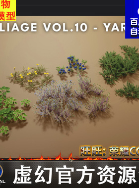 UE5.1植被灌木庭院植物花草FBXFoliage VOL.10 - Yard Plants