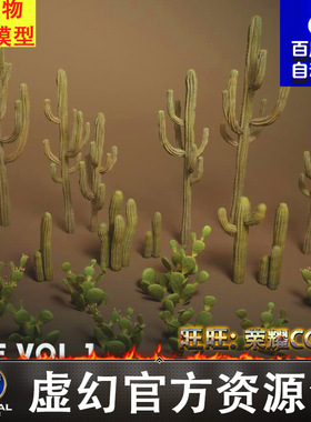UE5虚幻5沙漠仙人掌植被植物Foliage VOL.1 - Cactus (Nanite)
