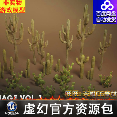 UE5虚幻5沙漠仙人掌植被植物Foliage VOL.1 - Cactus (Nanite)