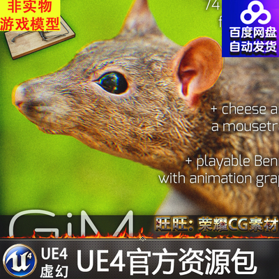 UE4虚幻4 Animals Rat 老鼠耗子动物动画模型