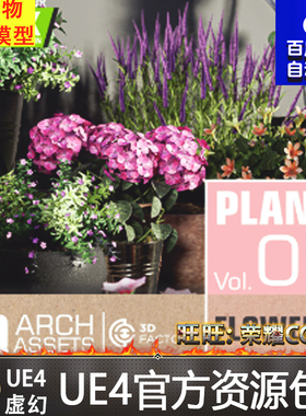 UE4虚幻4 HQ Plants Vol. 6 ( Flowered Plants ) 室内盆栽道具