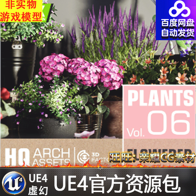 UE4虚幻4 HQ Plants Vol. 6 ( Flowered Plants ) 室内盆栽道具