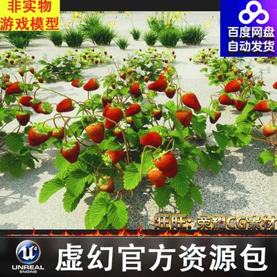UE4UE5菠菜小麦草莓覆盆子番茄植物Fruits and vegetables