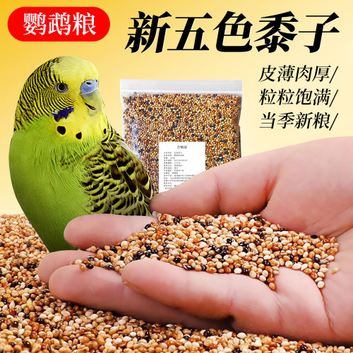 鹦鹉鸟粮饲料虎皮玄凤牡丹鸟食带壳谷子五色黍子鹦鹉混合专用粮