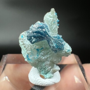 蝴蝶结磷酸锌铜矿Veszelyite 精品矿物晶体矿物标本矿石宝石原石