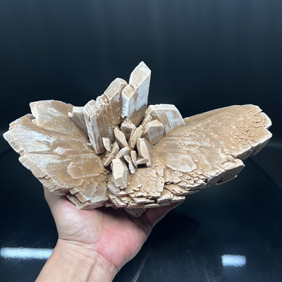 沙漠玫瑰（石膏）Gypsum 精品 矿物晶体 矿物标本 原石 宝石 收藏