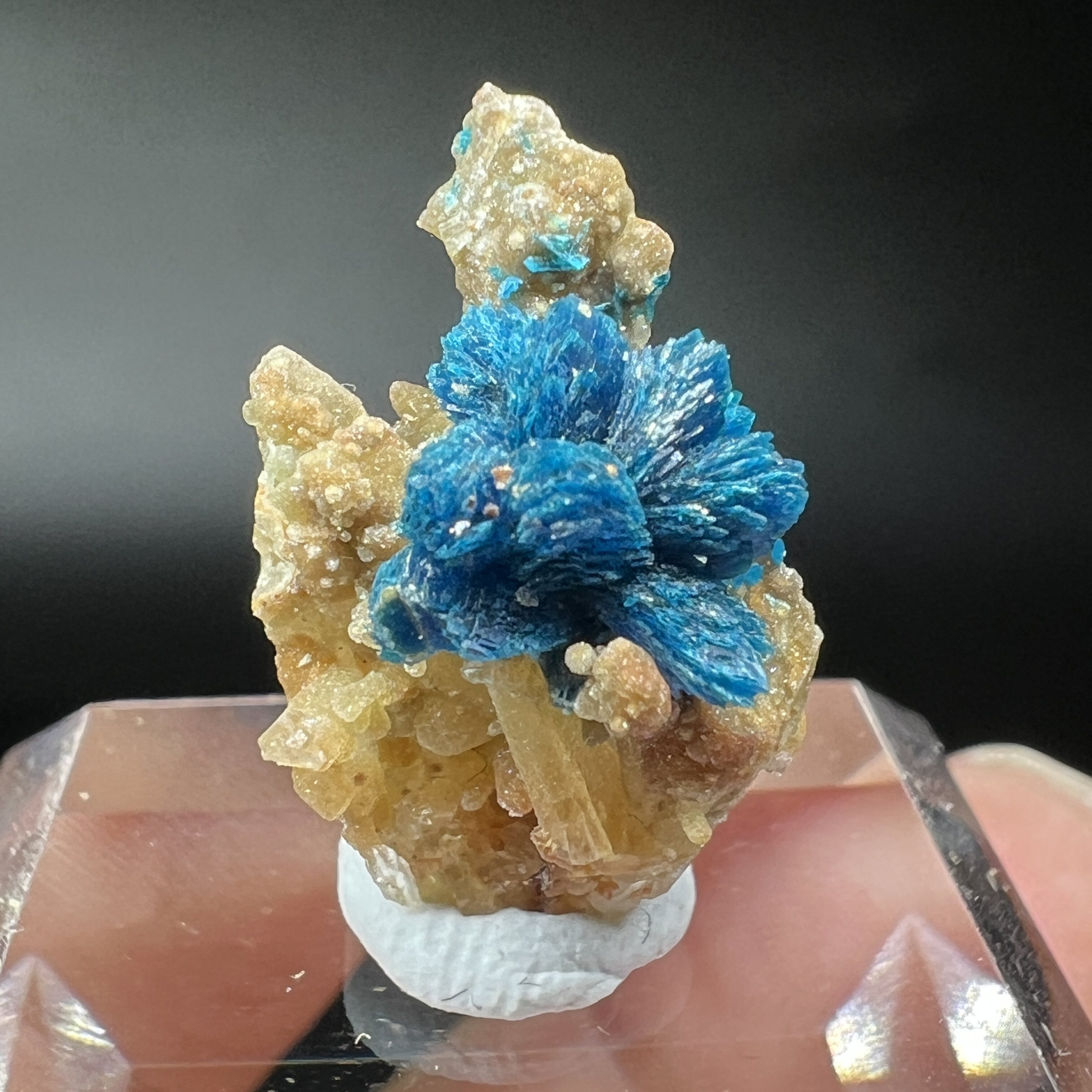 磷酸锌铜矿Veszelyite +水晶 精品矿物晶体矿物标本矿石宝石原石