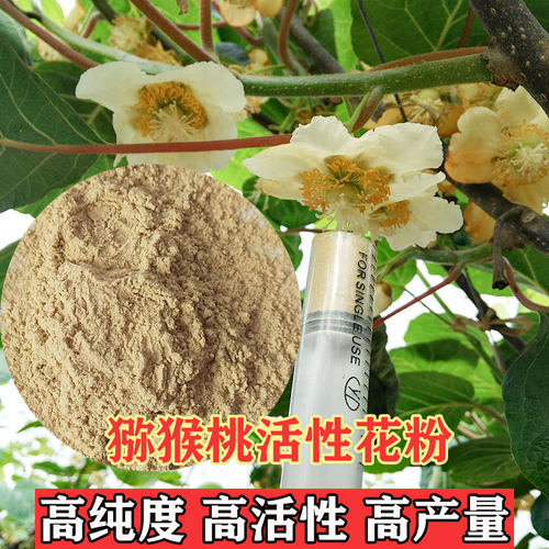 花博士红心猕猴桃花粉高活性纯花粉人工授粉公雄树软枣猕猴桃花粉