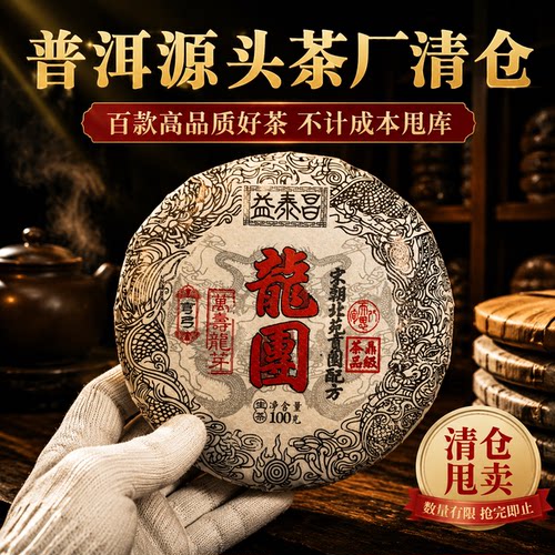 【源头工厂清仓甩库】云南2023年春茶易武弯弓古树普洱生茶100g