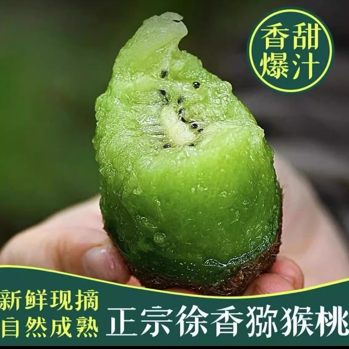 徐香猕猴桃绿心陕西周至现摘