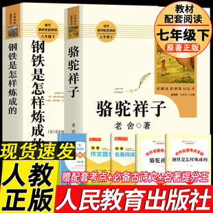骆驼祥子钢铁是怎样炼成的西游记朝花夕拾新书目人民教育出版社七八九年级下好书初中好书 海底两万里云中时光散落在生命的细节里*