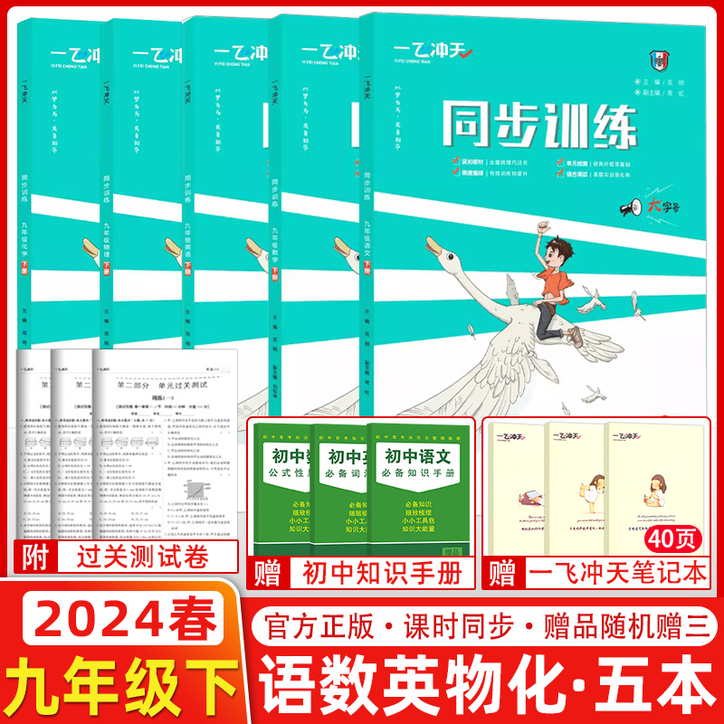 2024版一飞冲天同步训练九年级