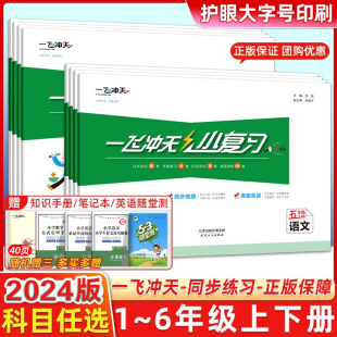 一飞冲天小复习天津上册下册一1年级2二3四4三5五6六语文数学英语小学单元 测试卷真题期中期末复习综合同步检测卷 2024春新版