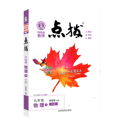 2024点拨九年级物理下册人教版RJ