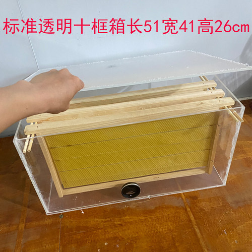 室内养蜂全套标准十框七框箱透明活框亚克力蜂箱直播展示带蜂路管