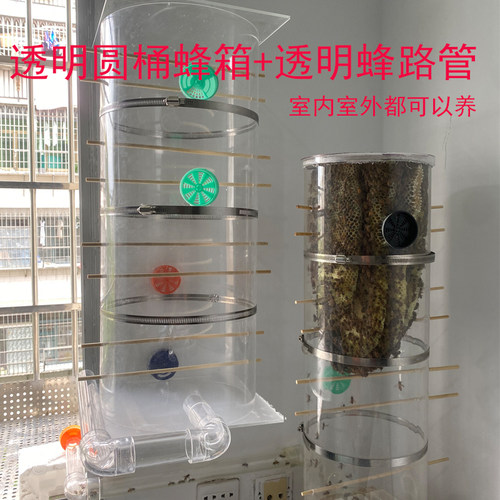室内透明多层圆桶亚克力蜂箱家里直播展示养蜂全套蜂路管养蜂玻璃