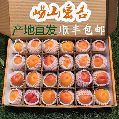 现摘现发山东青岛大红杏崂山水蜜杏黄杏甜杏新鲜水果杏子包邮