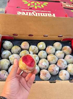 美国进口品种蜥蜴蛋恐龙蛋李子新鲜红肉血丝李鳄鱼蛋红心李包邮