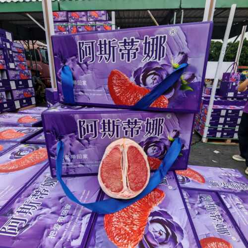 (节日送礼)阿斯蒂娜当季大红柚子礼盒装大红蜜柚黄皮柚新鲜水果甜
