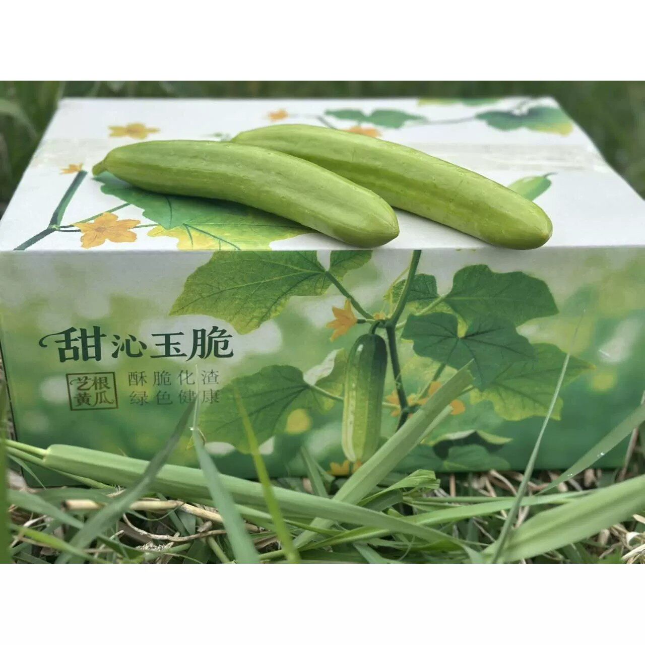 甜沁玉脆奶油冰糖黄瓜无渣嫩脆新鲜无刺奶油小黄瓜清脆低脂水果