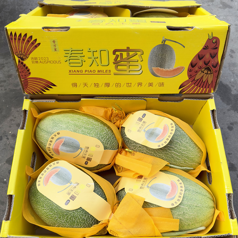 新货晓蜜密瓜4只装脆甜多汁新鲜水果当季大果好西州蜜包邮