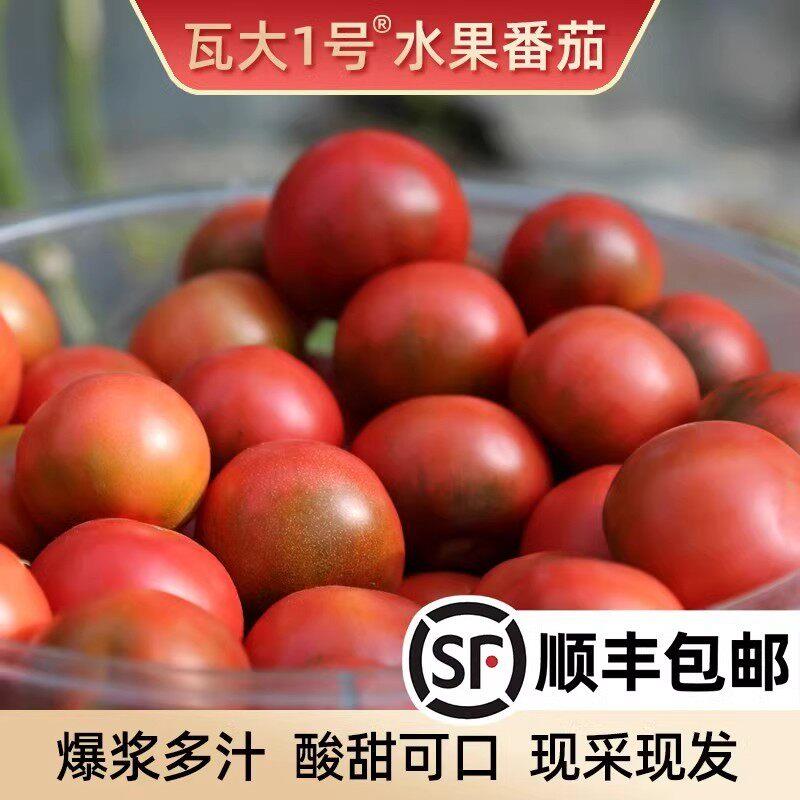 精选瓦大一号番茄鲜食孕妇水果3斤西红柿草莓柿子自然熟爆浆图片