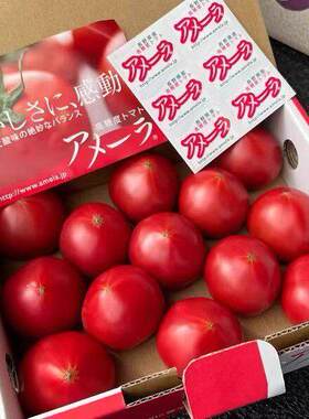 日本静冈进口品种高糖番茄本土种植西红柿草莓番茄新鲜水果酸甜