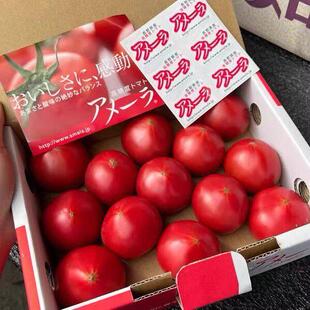 日本静冈进口品种高糖番茄本土种植西红柿草莓番茄新鲜水果酸甜