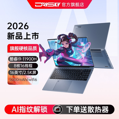 Daysky/彗星人i9-11900H游戏本
