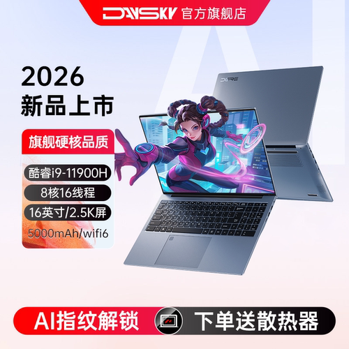 Daysky/彗星人i9-11900H游戏本