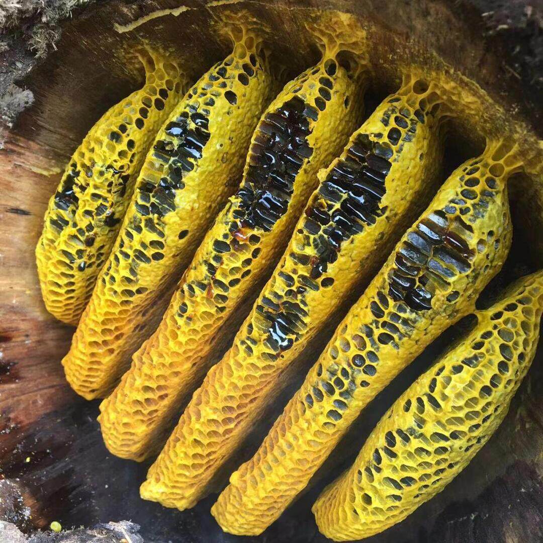 云南野生黑蜂蜜高山米团花药蜜