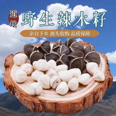 正宗特级辣木籽天然无硫精选野生大颗粒辣木籽果非印度进口辣木籽