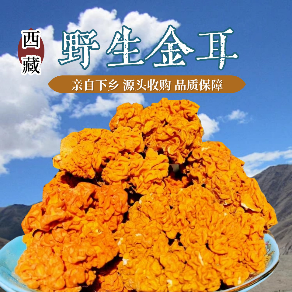 西藏天然无添加银耳煲汤煮粥