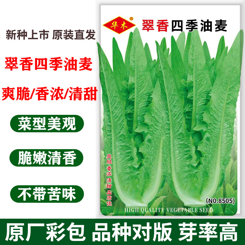 翠香四季油麦菜种子耐寒油香麦青菜种籽仔菜籽盆栽籽种蔬菜孑菜种,鲜花速递/花卉仿真/绿植园艺,家庭园艺种子,淘宝优惠券,粉丝福利购,淘宝优惠卷