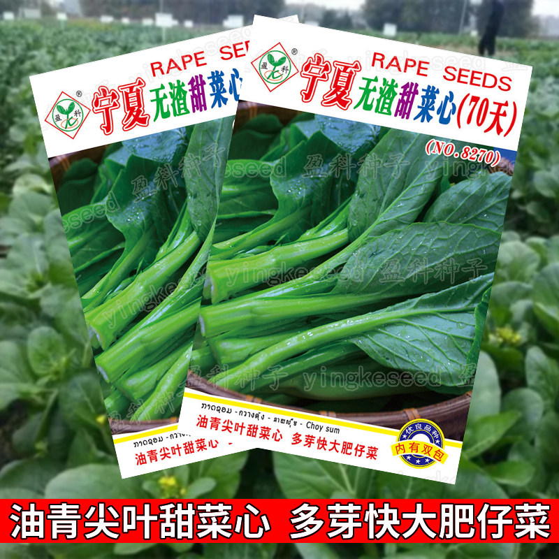 宁夏无渣甜菜心菜种籽油青尖叶甜菜心种子快大菜四季易种蔬菜种籽