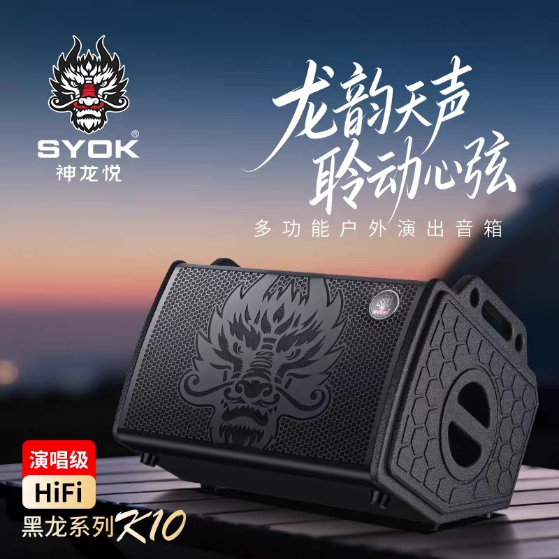神龙K10舞台演唱音响乐器K歌直播内录户外便携大功率蓝牙音箱