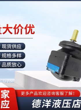 溢价-DESON丹尼逊TB系列TB011TB009单联叶片泵TB0111R00A100